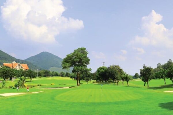 Tam Dao 1 600x400 1