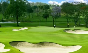 Leman golf